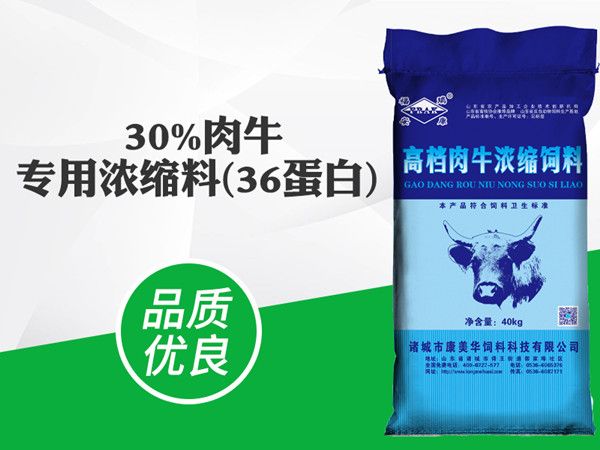 30%肉牛專(zhuān)用濃縮料(36蛋白)